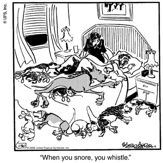 marmaduke
